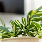 Blue Horizon Residence Panoramic View Appartamento Volos