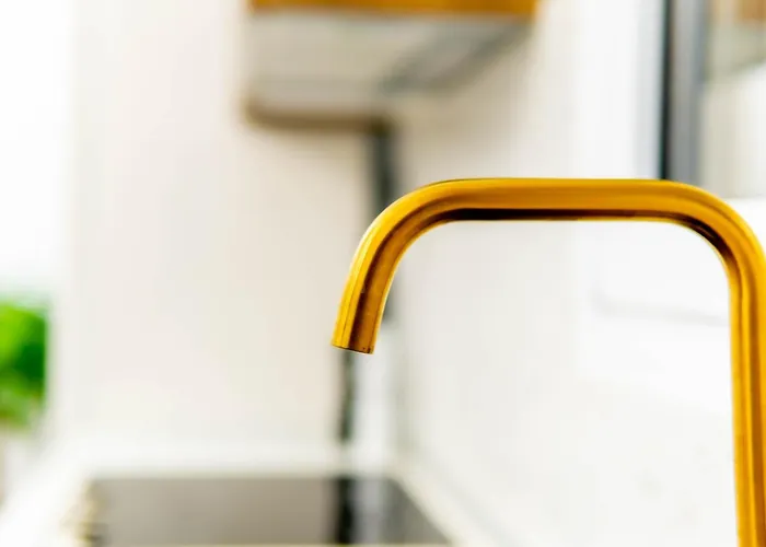 Arcade Panoramic View